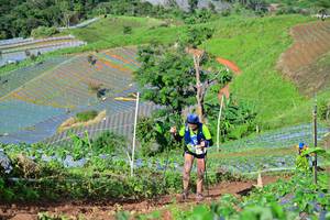 BIB: 
                            <button type="button" onclick="openModal(13380989)" class="btn btn-primary btn-sm float-right btn-popup" data-toggle="modal" data-target=".modal-high-quality">
                        <i class="fas fa-shopping-cart"></i> Add to Cart
                    </button>
                                            <button type="button" onclick="isThisMe(13380989, true)" class="btn btn-success btn-sm float-right btn-popup btn-isme hidden" data-toggle="tooltip" data-placement="bottom" title="นี่คือรูปของคุณใช่ไหม คลิกที่นี่เพื่อเอาเข้าอัลบั้ม">
                        <i class="fas fa-plus"></i> Add to album
                    </button>
                    <button type="button" onclick="isThisMe(13380989, false)" class="btn btn-warning btn-sm float-right btn-popup btn-isnotme hidden">
                        <i class="fas fa-ban"></i> Remove from album
                    </button>